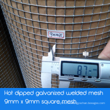 Galvanized Welded Square Mesh Wire Mesh - Hot Dipped Galvanized After Welding